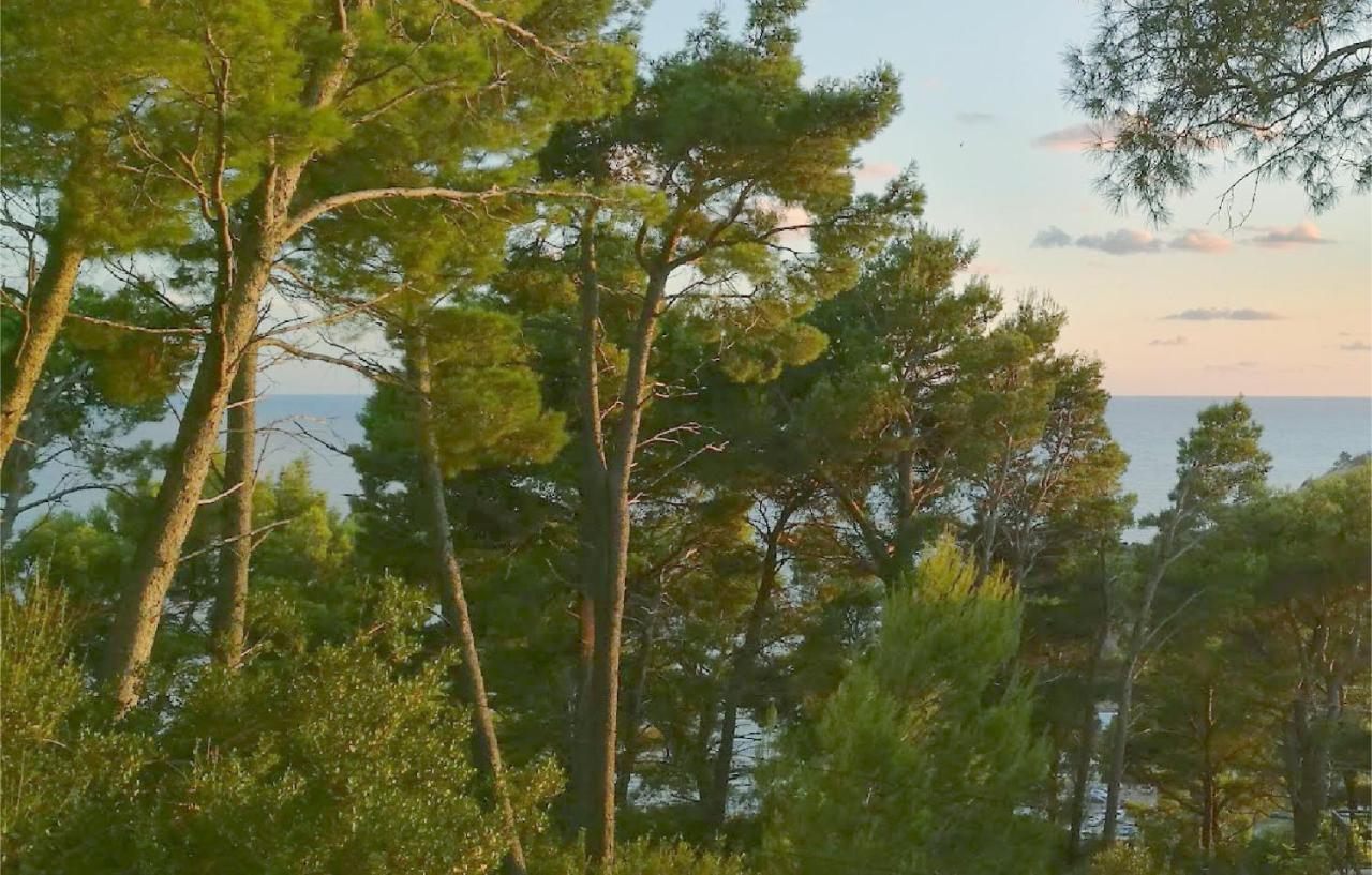 House In The Pines Villa Sutomore Exterior photo